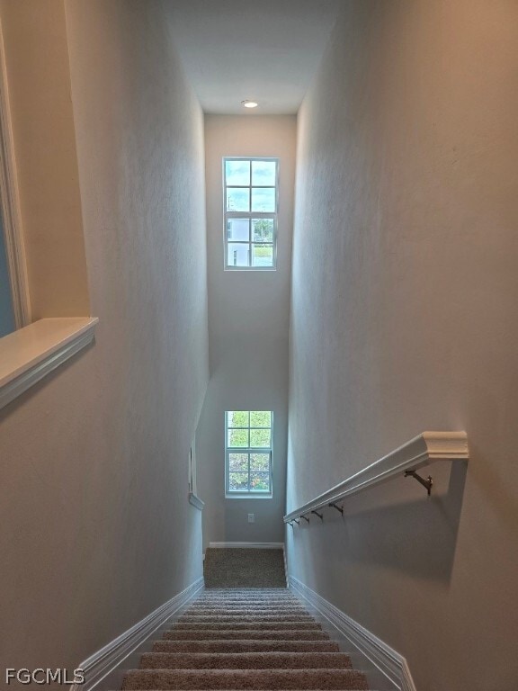 Building Photo - 8113 Haley Crk Wy