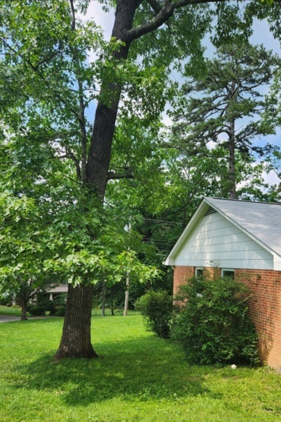 Sideyard looking to quiet street - 312 Signal Mountain Blvd