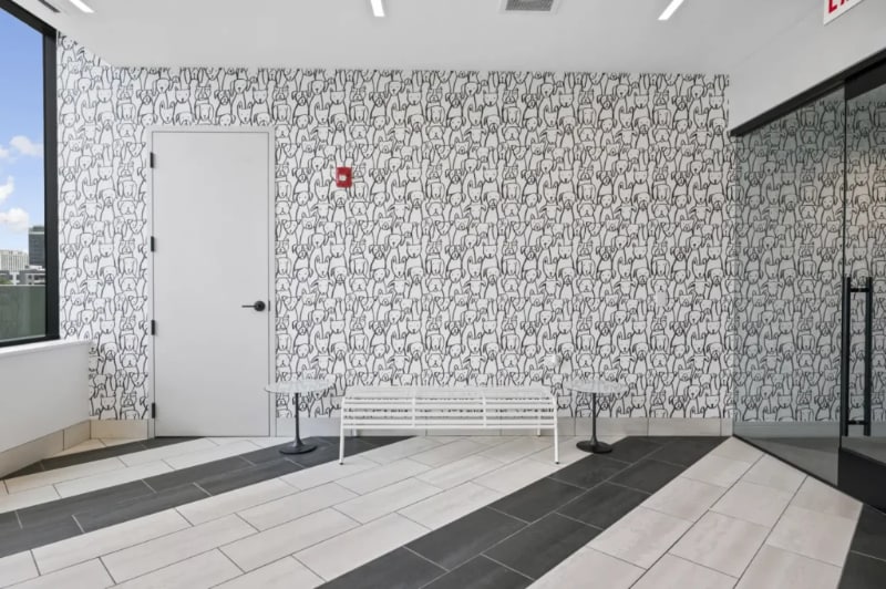 Building Photo - 815 N Cleveland Ave