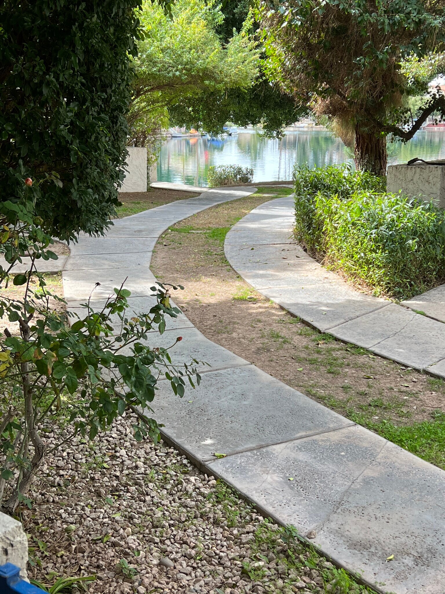 Building Photo - 1143 E Sandpiper Dr