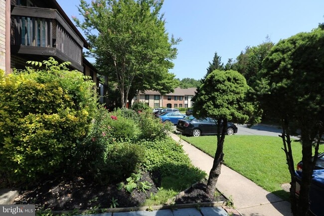 Building Photo - 20404 Shadow Oak Ct