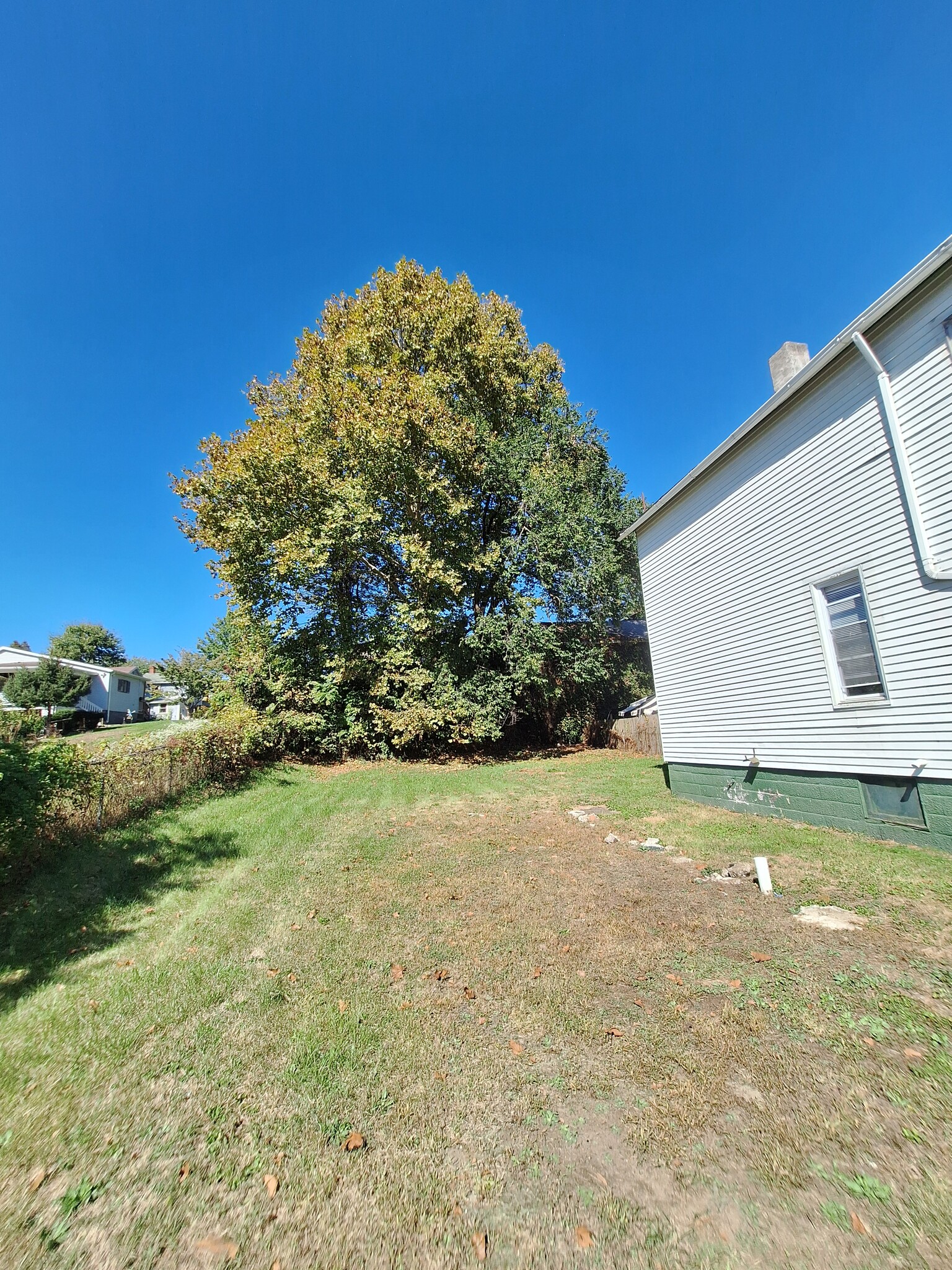 Building Photo - 1049 Nelson Ave