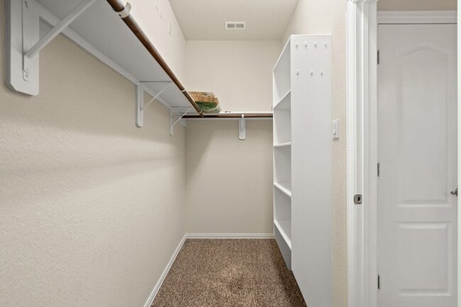 Building Photo - 135 San Bernard Dr