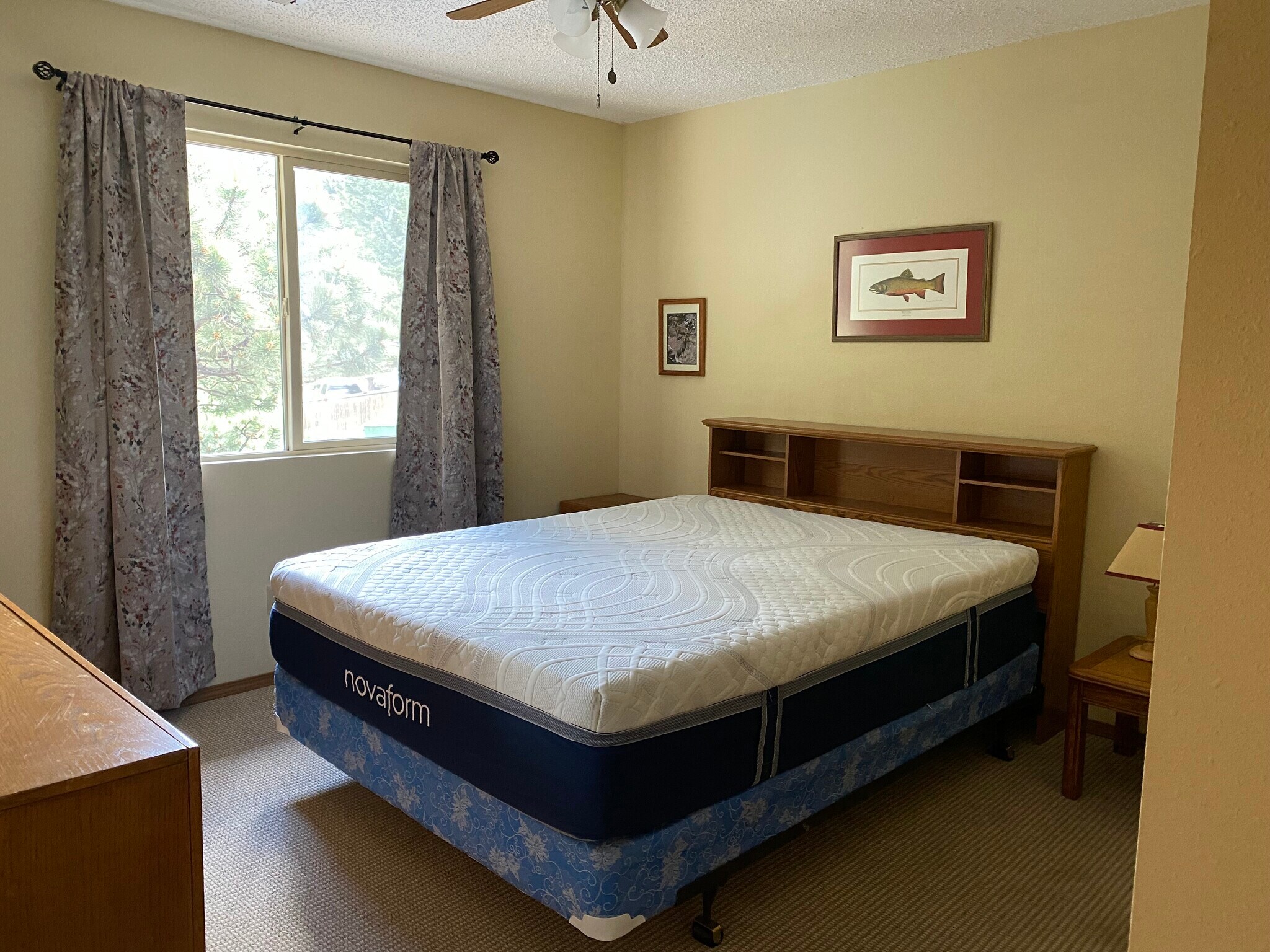 Building Photo - 507 Fall River Ln