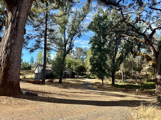 Building Photo - Stunning Renovated 2 Bedroom 2 Bathroom Farm House on 8 Acres