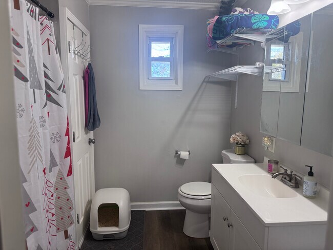 Building Photo - 102 Gracie St