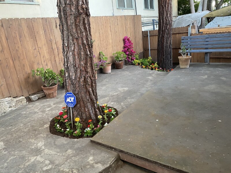 Building Photo - 246 Ashland Ave