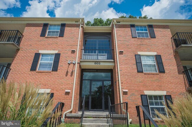 Building Photo - 803 College Ln