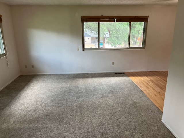 Building Photo - 113 Pierce Dr