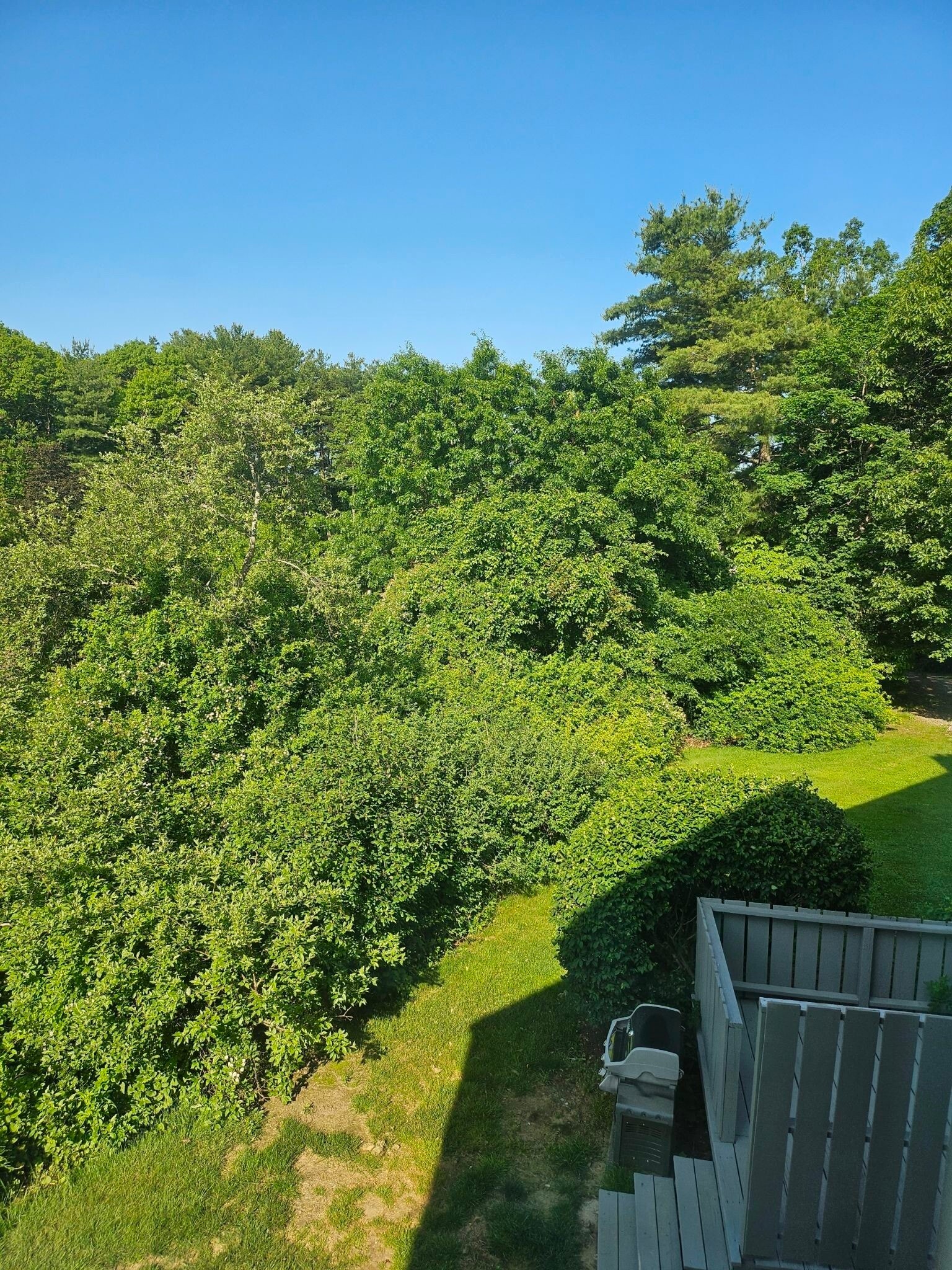 Building Photo - 522 Twin Lakes Dr