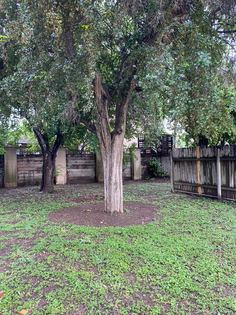 Huge fenced backyard. - 609 N 15th St