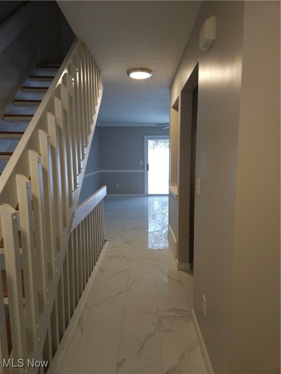 Building Photo - 1258 Meadow Run