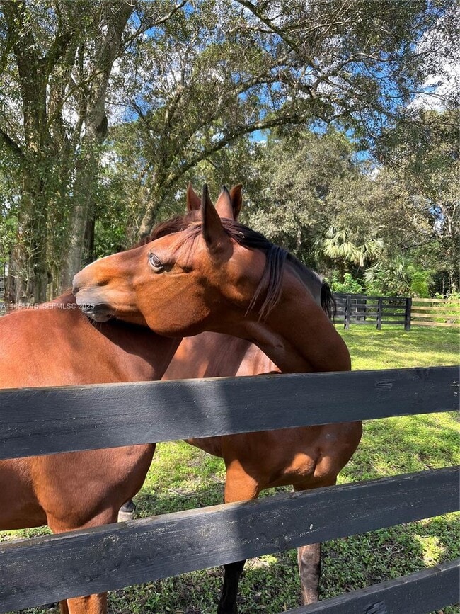 Building Photo - 14561 Tangerine Dr