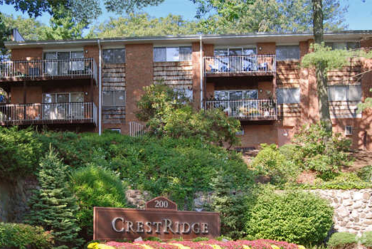 Building Photo - Crest Ridge Apartments