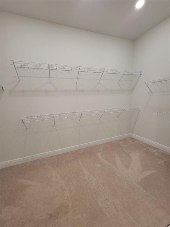 Building Photo - 7708 Paradiso Dr