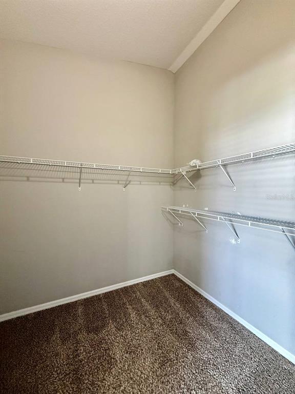 Building Photo - 3421 Santa Rita Ln
