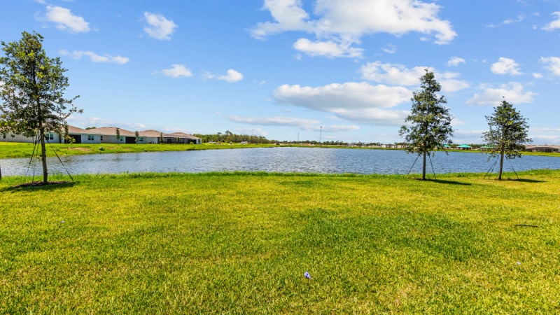 Building Photo - 8462 Water Lily Ct