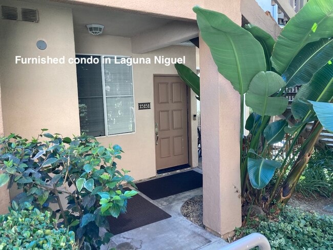 Entry door to fully furnished condo in La - 25252 Via Lido