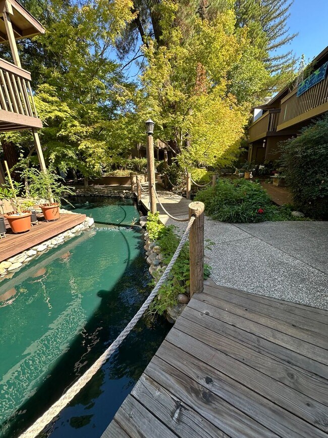 Building Photo - Cute and Cozy 1 Bedroom Condo in Gated Tim...
