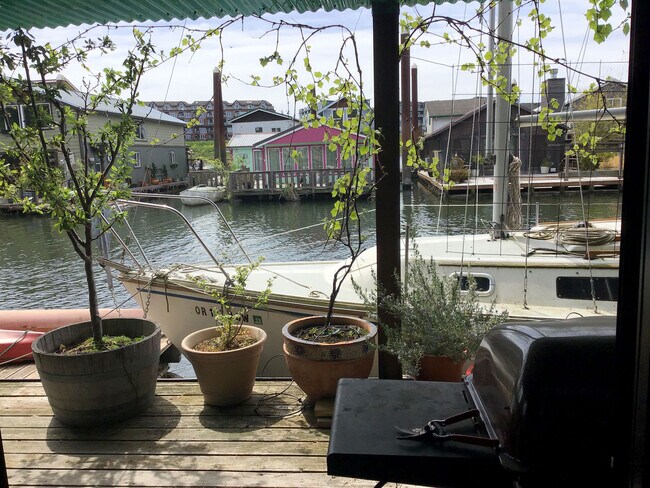 View from livingroom patio door - 11638 N Island Cove Ln