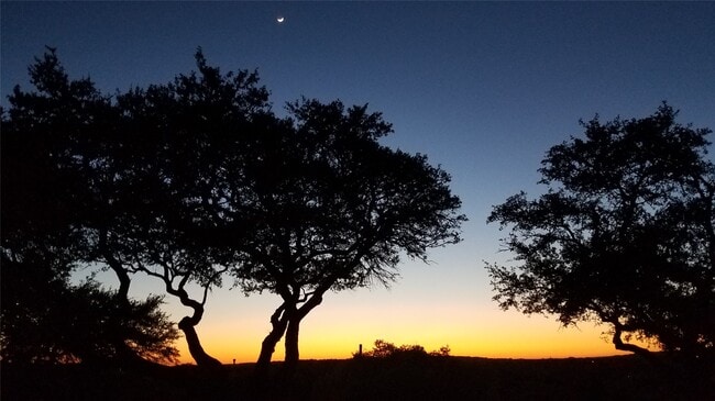 Building Photo - 2055 Island View