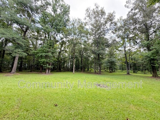 Building Photo - 11275 Otto Odom Cir