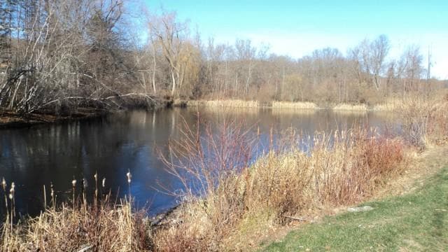 Building Photo - 5 Pondview Cir