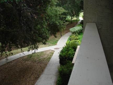 Balcony View - 23653 Park Capri