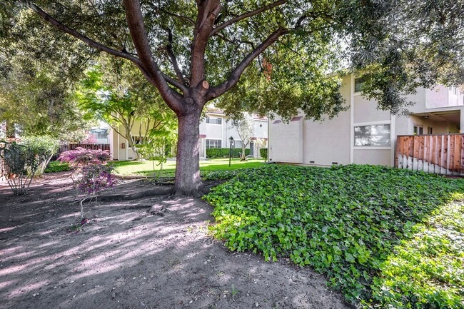 Building Photo - 436 Sierra Vista Ave