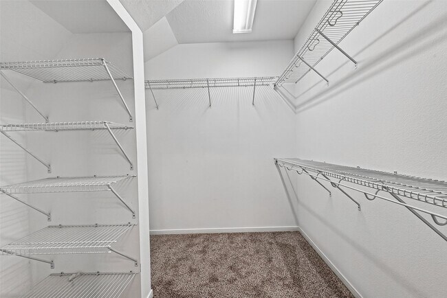 Building Photo - 5403 Canyon Hollow Dr