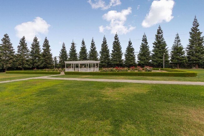 Building Photo - 4 Bedroom North Clovis Ranch on 3+ Acres