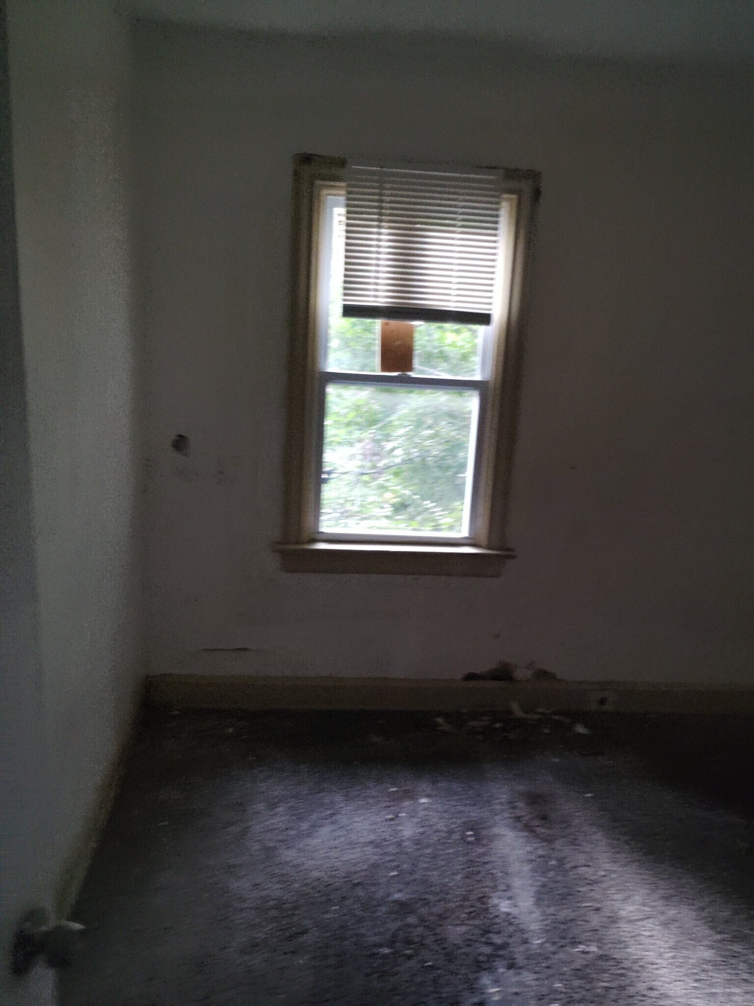 Building Photo - 3729 Avondale Ave