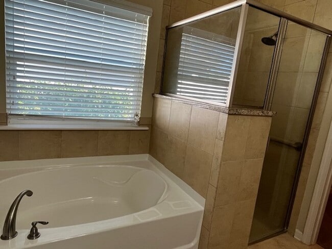 Building Photo - Well Appointed 4/3  Dreamfinders Home