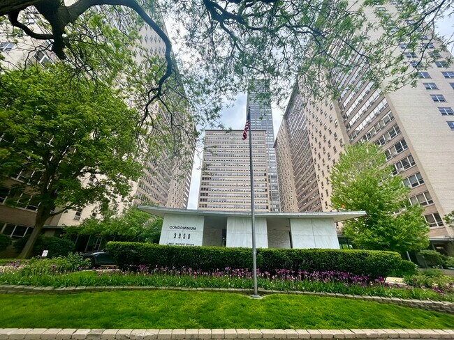 Building Photo - 3950 N Lake Shore Dr