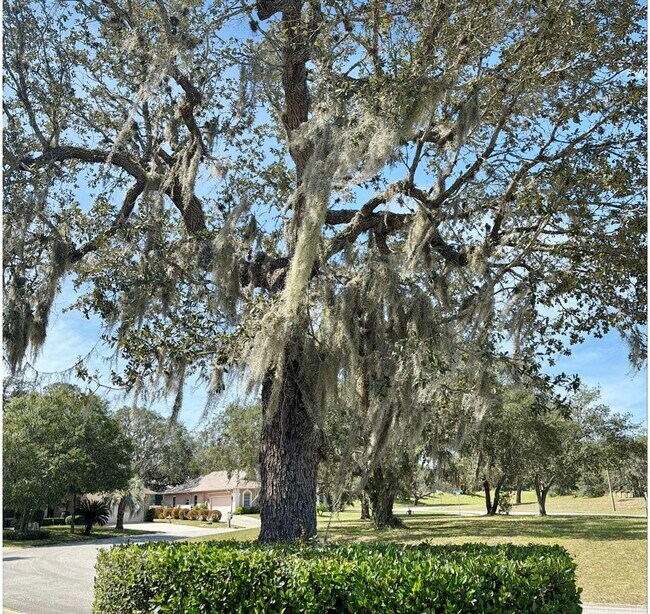 Building Photo - 5220 W Mountainview Cir