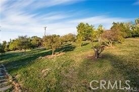 Building Photo - 2440 Los Alisos Dr