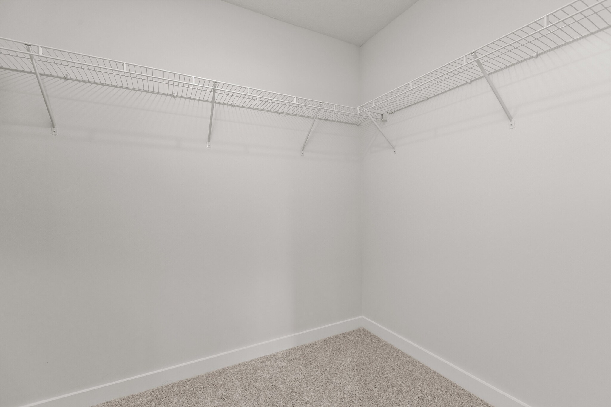 Building Photo - 216 Hanover Ln