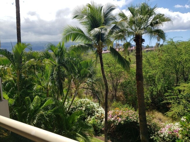 Building Photo - MAUI BANYAN - 1bd. 1bath fully furnished u...