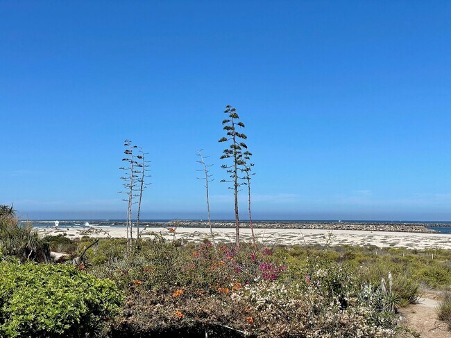 Building Photo - Furnished Beach front House in OB One Month Minimum Rental