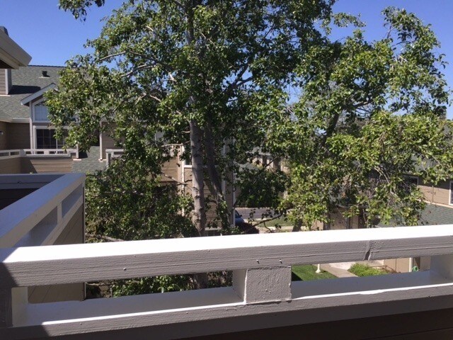Building Photo - Belmont Hills Sanctuary: 3 En-Suite Suites Behind Oracle & Farallon Park