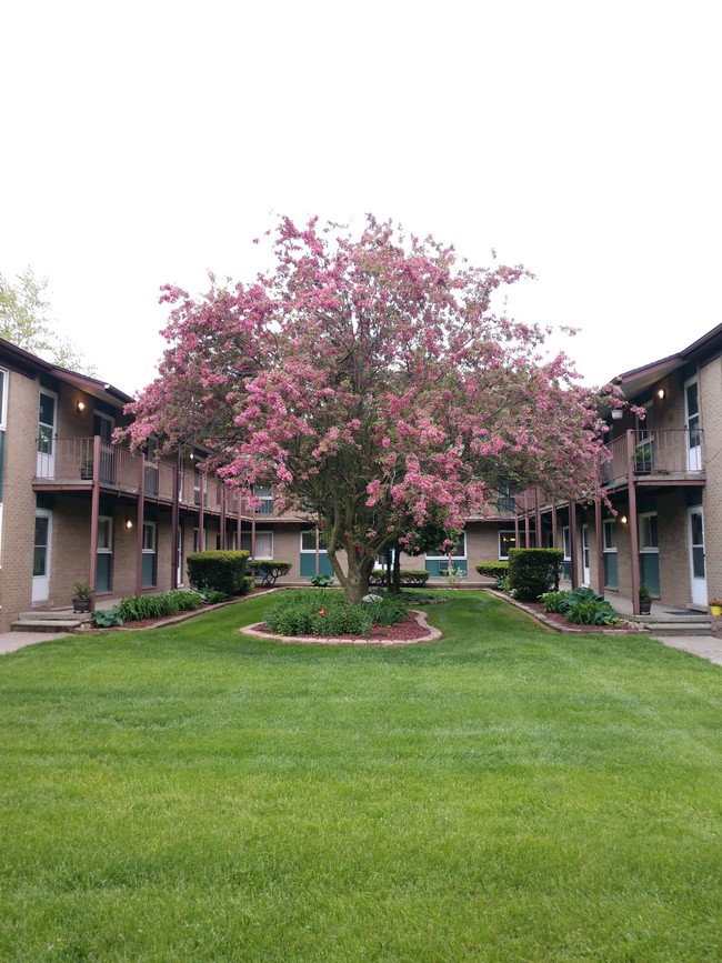 Primary Photo - 16235 Belmont Ave
