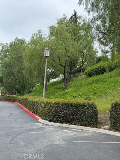 Building Photo - 28512 Salerno Dr