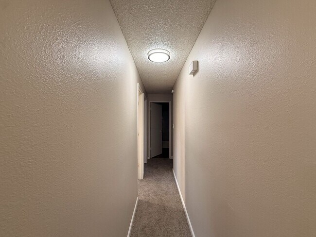 Building Photo - WILARK2535-2537