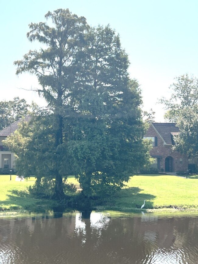 Building Photo - Green Trails Subdivision