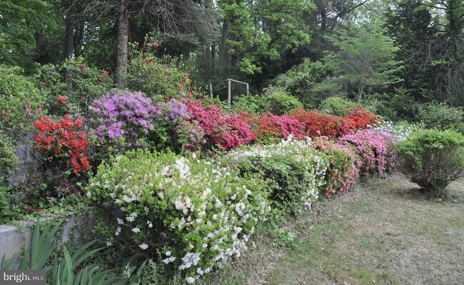 Building Photo - 3637 38th St N