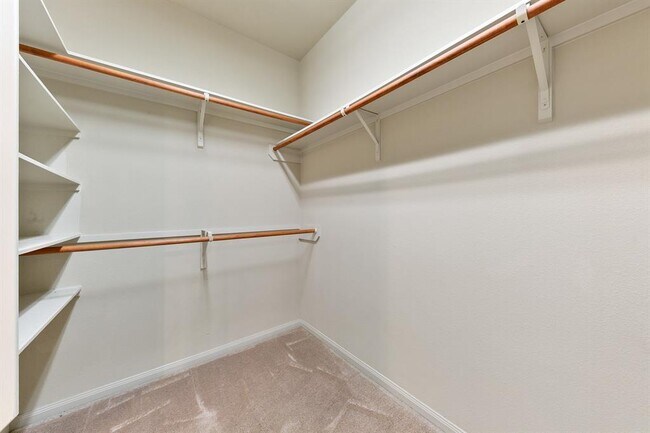 Building Photo - 11307 Elizabeth Brook Dr