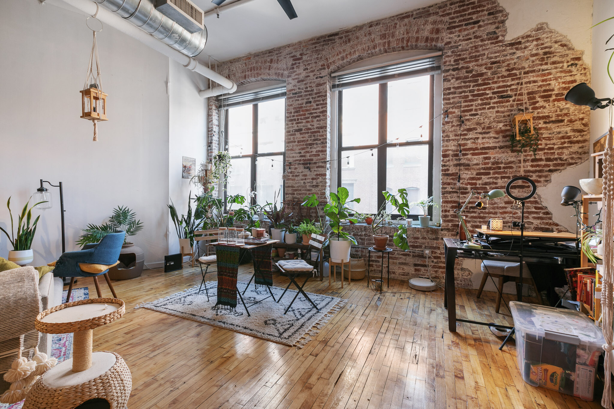 Windows - 428 N 13th St