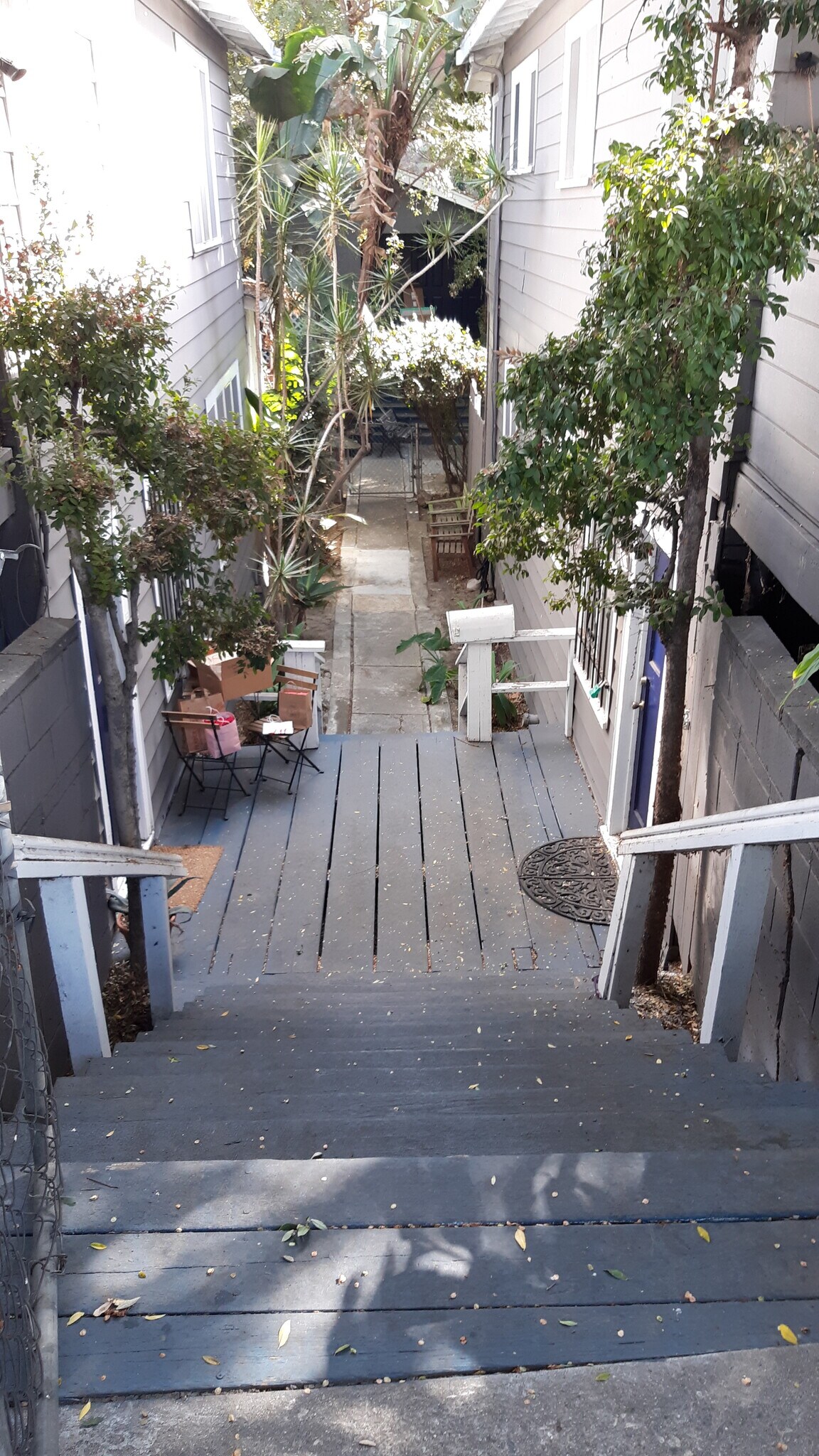 Front Steps - 1120 Sanborn Ave.