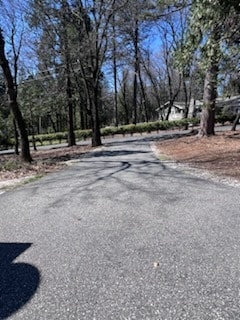 Building Photo - 12437 Silk Tassle Cir