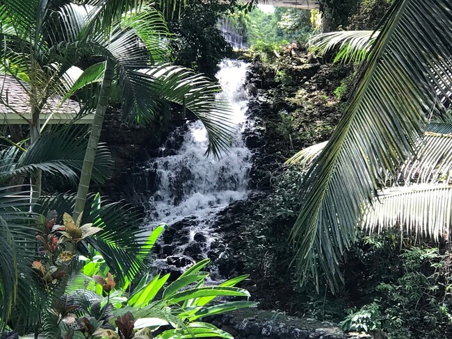 Building Photo - Kauhale Beach cove! Tropical, Serene and v...